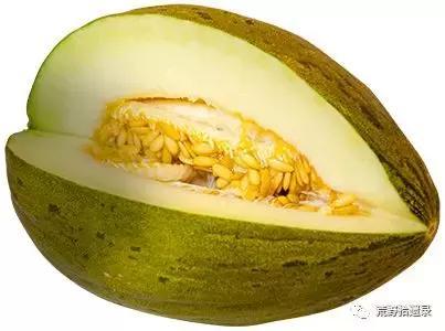 甜瓜分类及新疆甜瓜（哈密瓜）品种概述 - 知乎