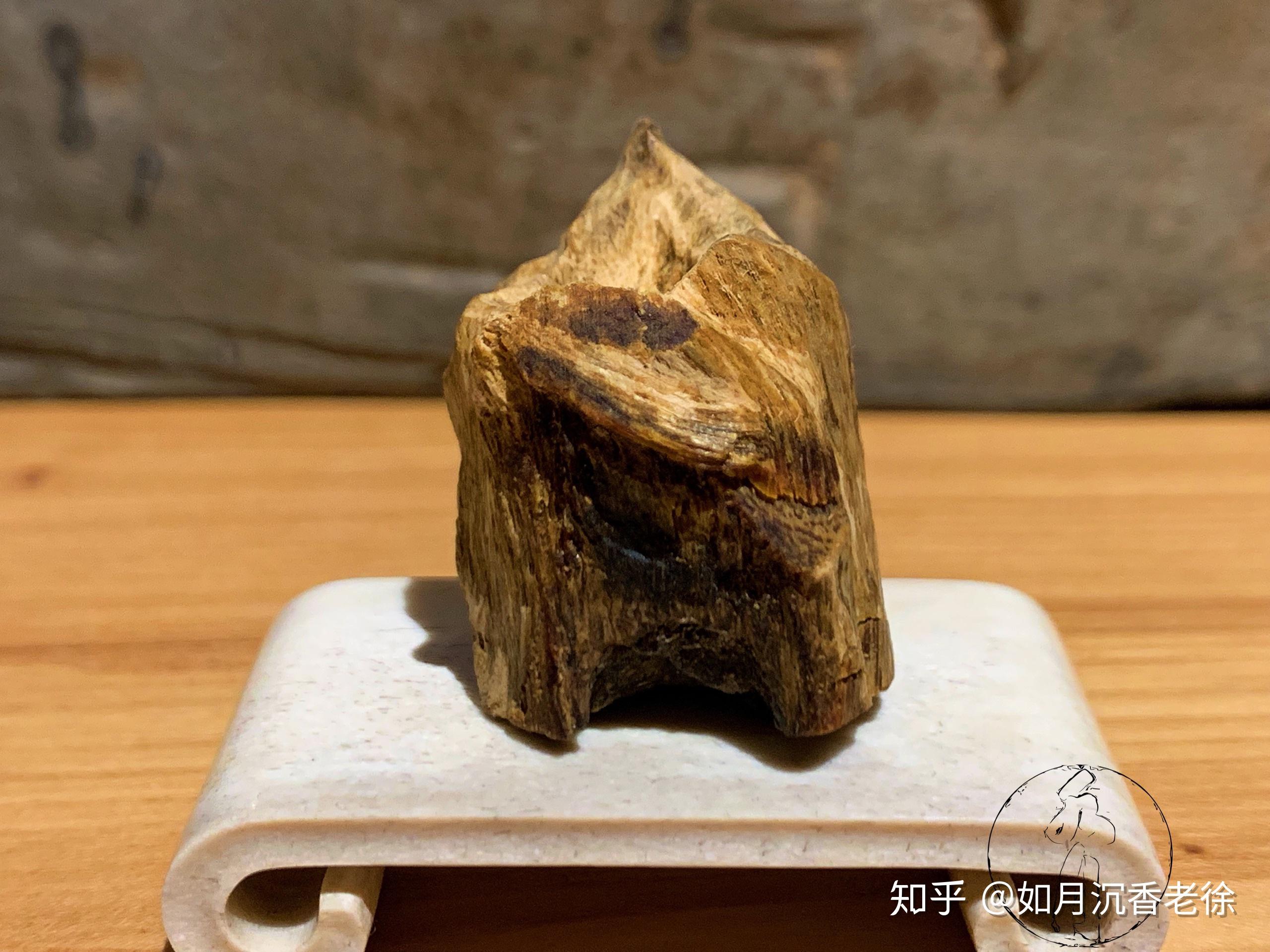 国产绿棋楠香中君子