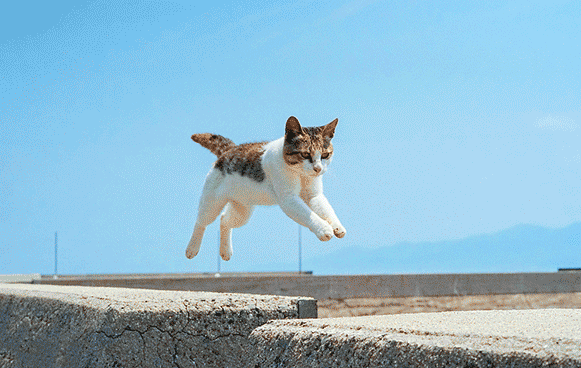 581_368gif 动态图 动图