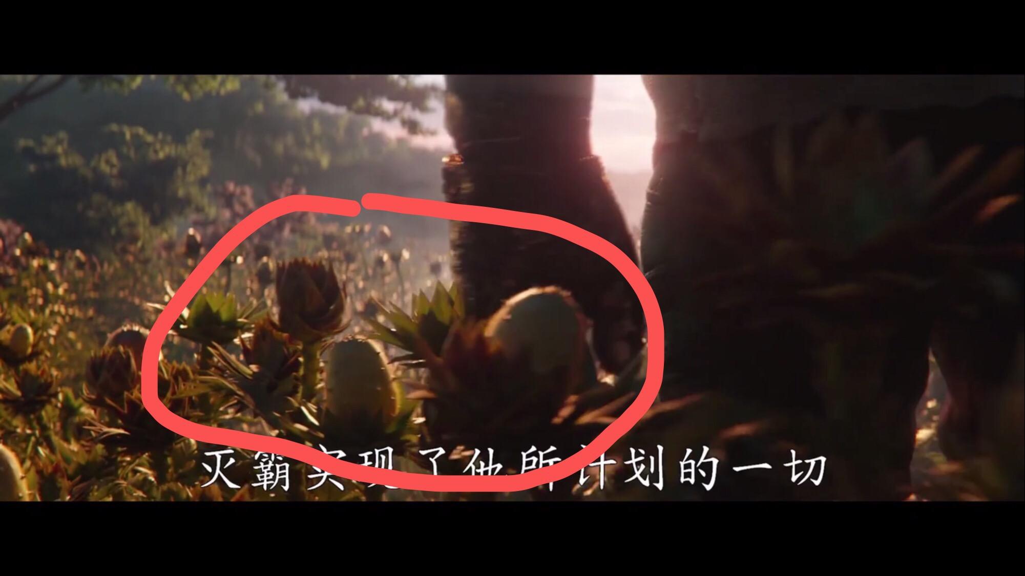 《复仇者联盟 4》中灭霸吃的橙色的果子是什么?