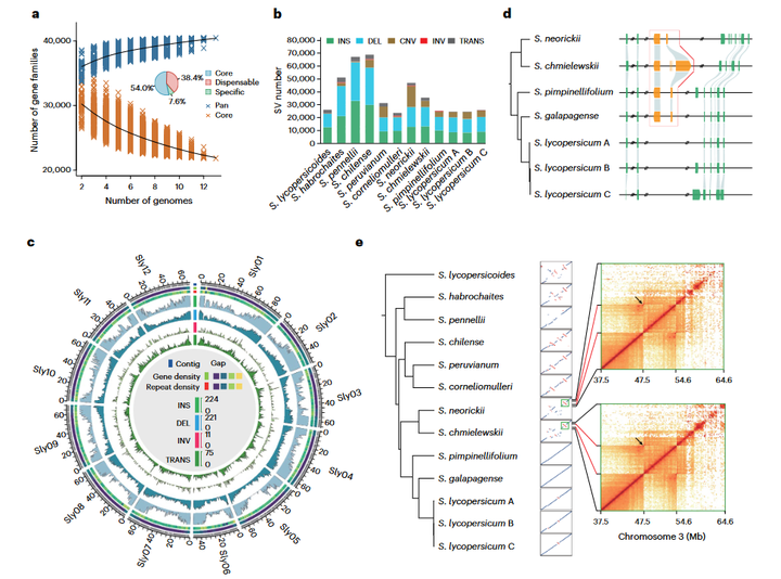 跟着Nature Genetics学做图|展示番茄泛基因组和核心基因组大小的模型 - 知乎