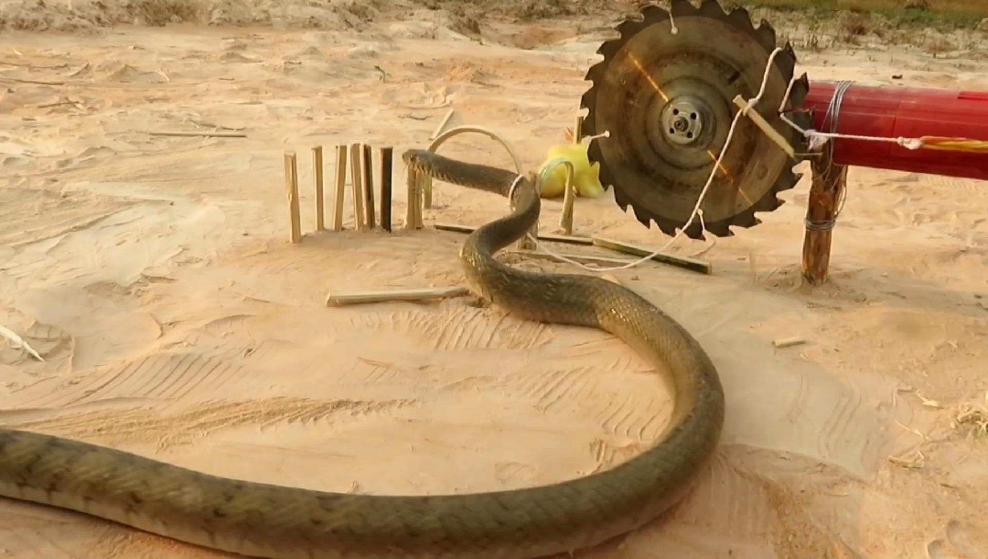 国外牛人教你如何使用电锯避免伤害