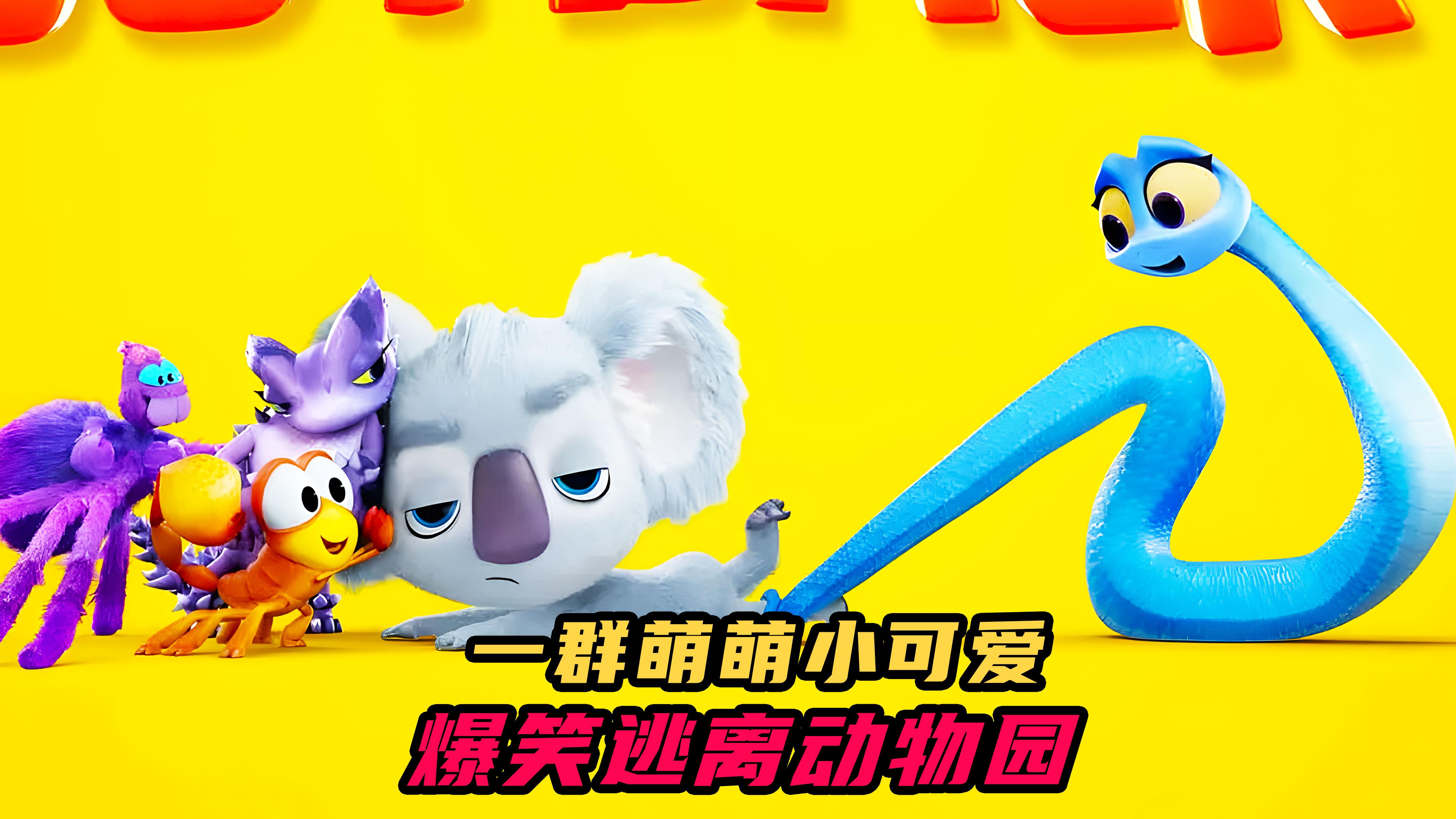 考拉大冒险2动物园逃亡时刻东躲西藏只为能够回归大自然