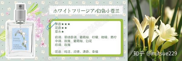 最适合夏天的香味 武藏野香水 四季之花 记忆之味 知乎