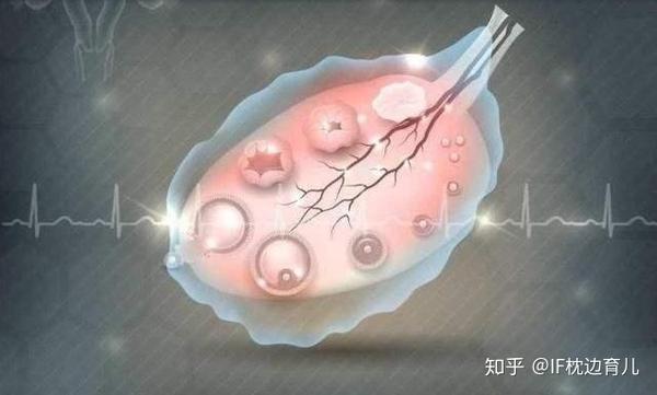 女性有这四种感觉一般是到了排卵期安排功课一击即中