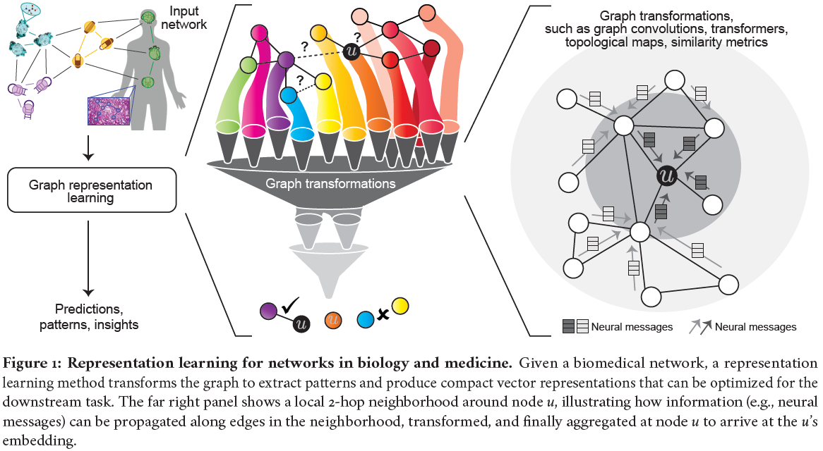 graph representation learning in biomedicine and healthcare