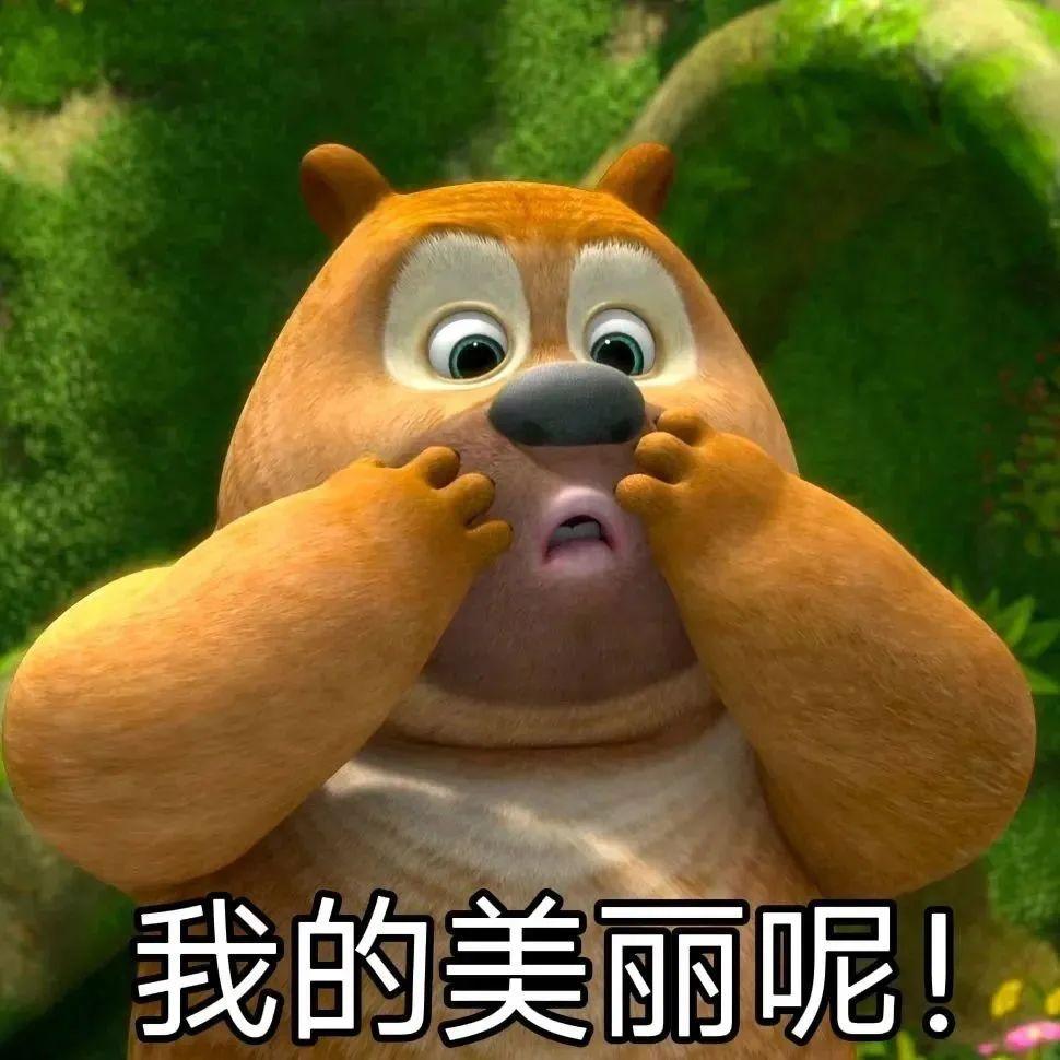 熊二表情包这不就来了吗