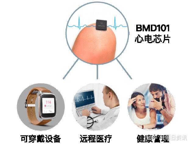 神念科技脑电和心电传感器提供商