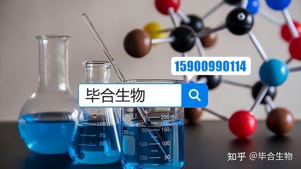PCR引物和测序引物有什么区别 - 知乎
