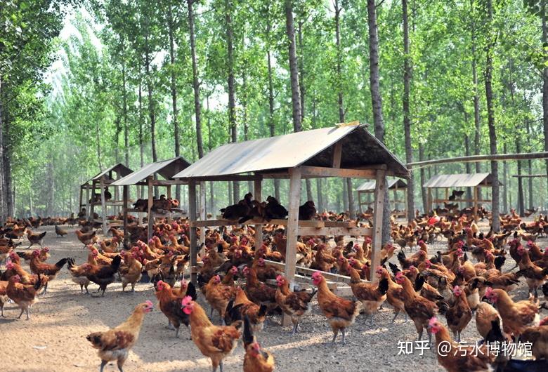 污水处理一千零一问56村镇中小型畜禽养殖场可以通用的污水处理方案