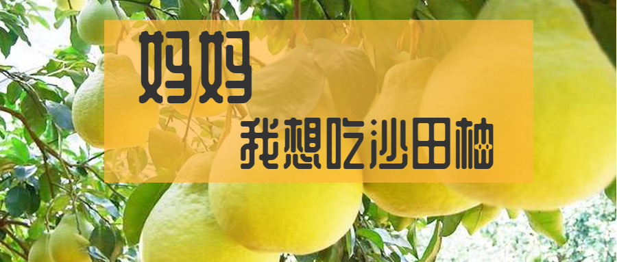 老农经验 怎么判断柚子有没有成熟 如何挑选柚子 知乎 老农经验 怎么判断柚子有没有成熟 如何挑选柚子 知乎