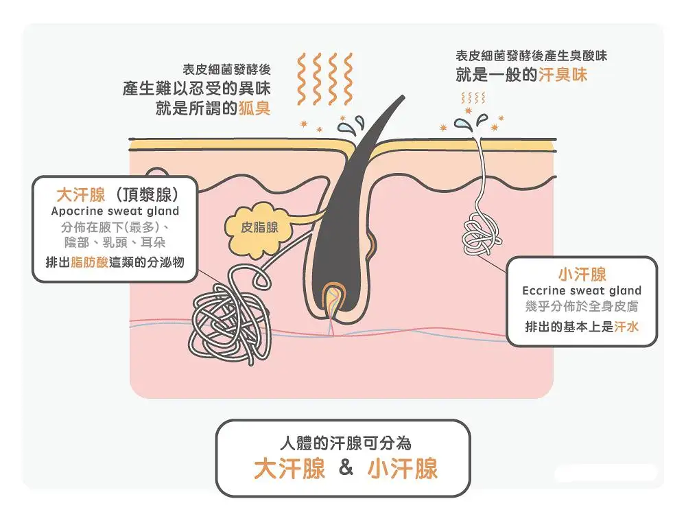 女孩子夏天腋下有汗臭味，每次跟男朋友贴贴都尴尬到不行该怎么办？