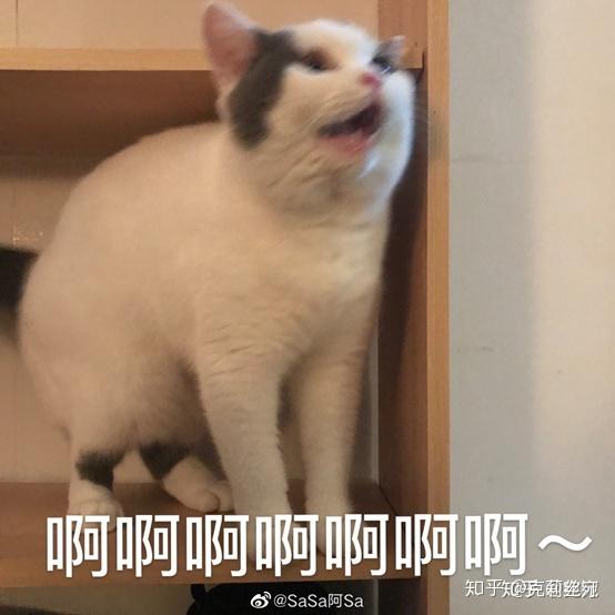 v2-ee3f81164e489116c4ac8dd2053f9d10_r.jpg