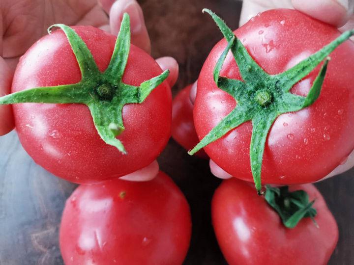 v2-ee41d9c4b2fd9ac6b954879813e6f8e0_1440w.jpg?source=172ae18b