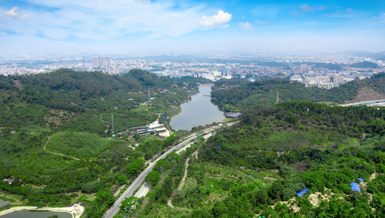 嵌入深圳版图的凤岗除了临深还有什么硬实力