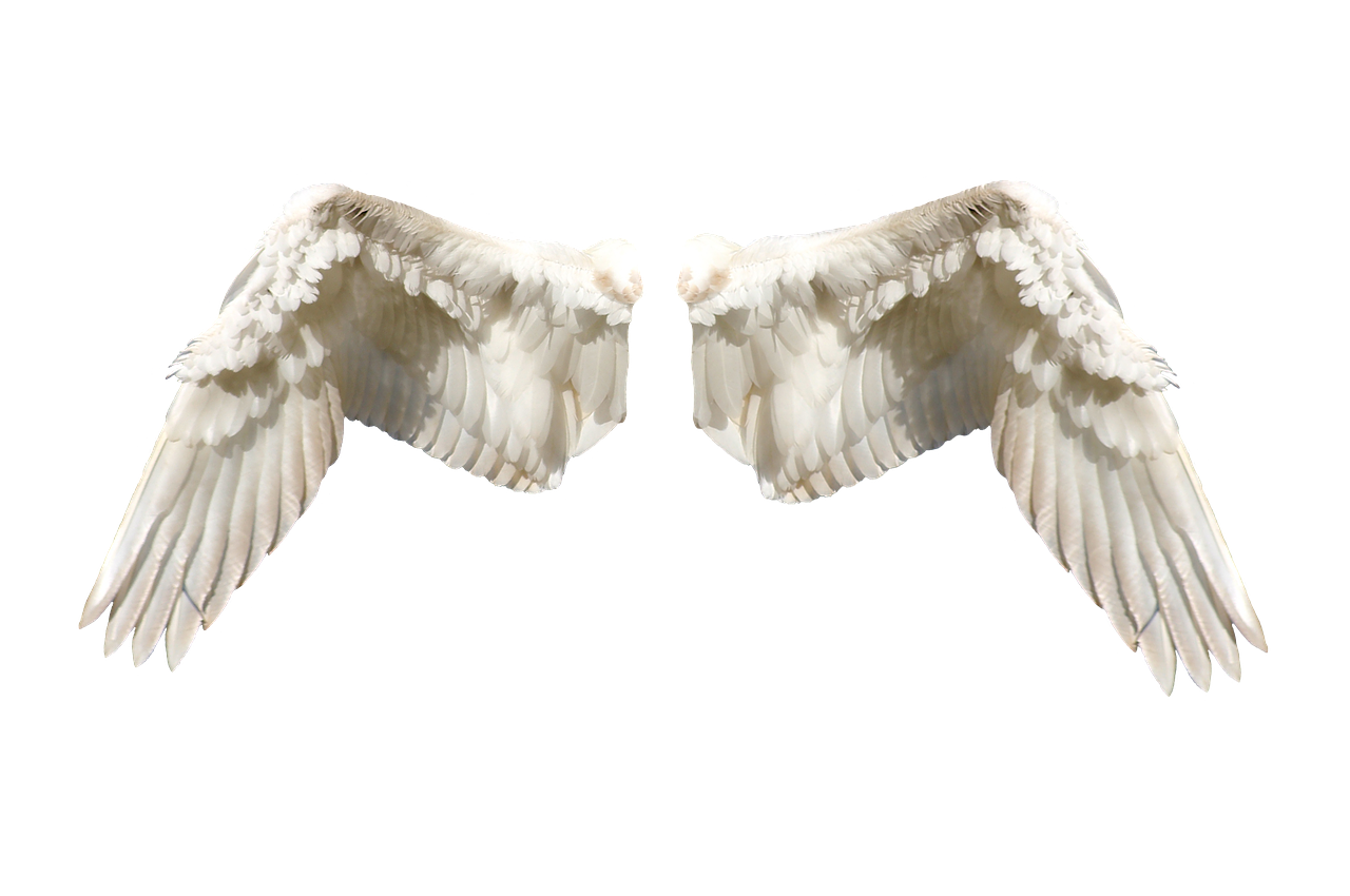 隐形的勇气与力量