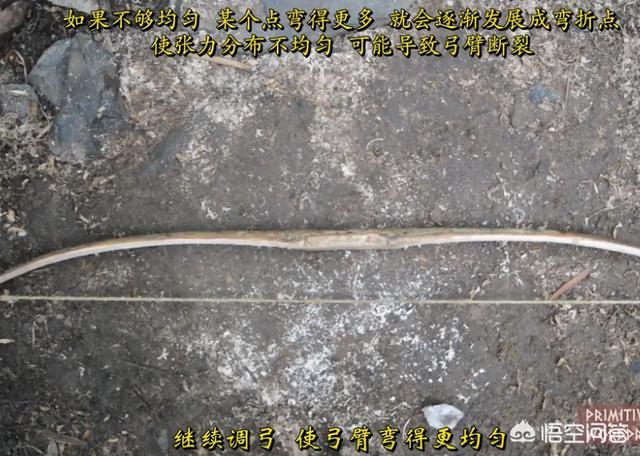 在野外如何制作一把优秀可靠的求生弓?抛弃外观,追求实用! - 知乎