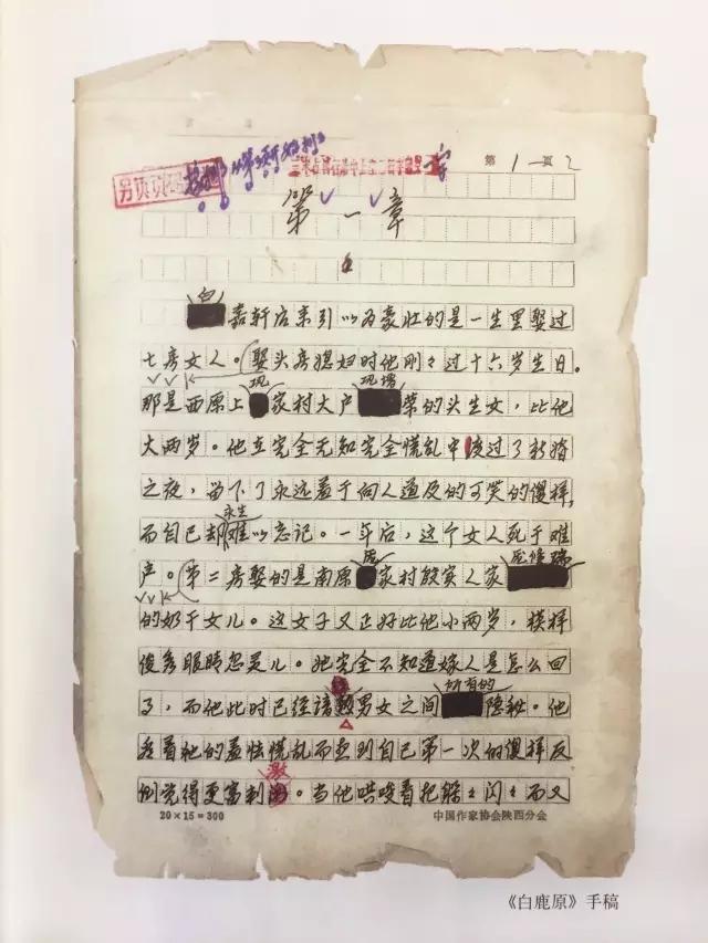 陈忠实没有任何迟疑的回答:我就去养鸡.