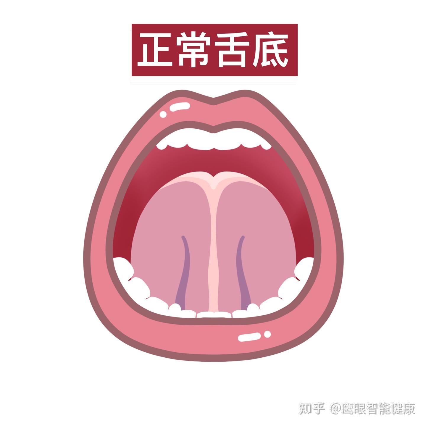 中医看舌底是看的什么?教你一招,轻松判断身体状况 - 知乎