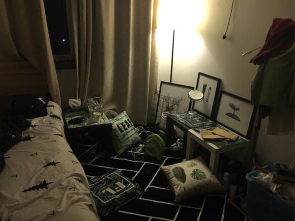 怎么花最少的钱提升出租屋的格调?