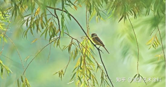 凯瑟艺术涂料-垂柳绿|杨柳青青著地垂 杨花漫漫搅天飞 - 知乎