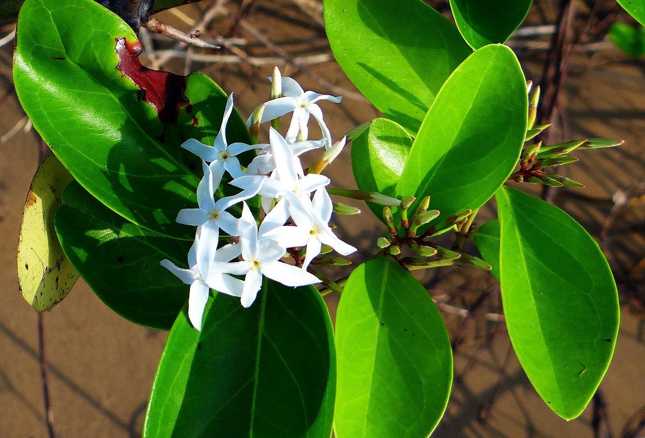 配套设施全不全