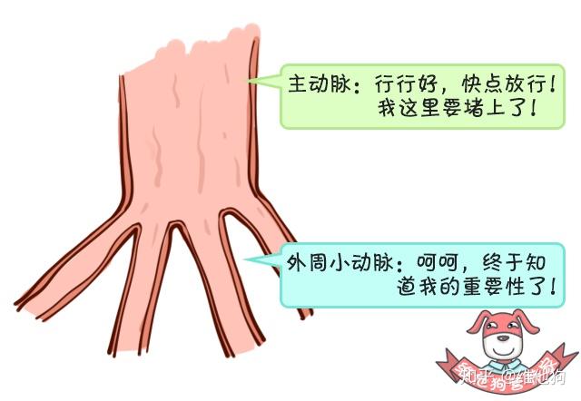 高血压认知2 高血压认知2