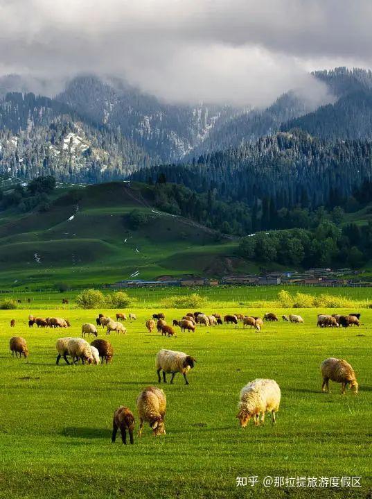 那拉提也是全国六大最美的草原之一.
