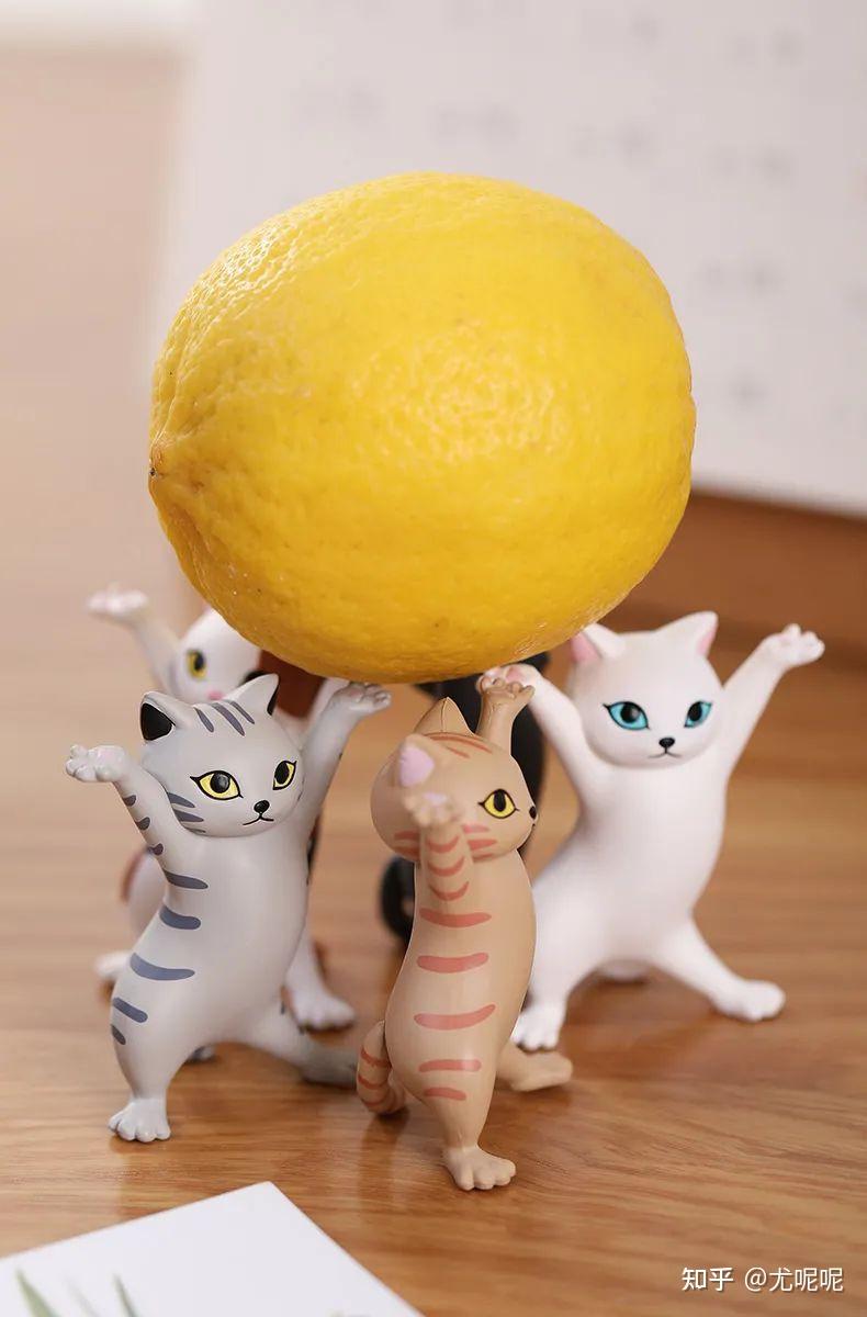 有哪些网购能买到的冷门却有趣的东西? - 知乎