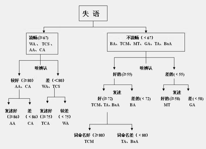 失语症都有哪些种类? - 知乎