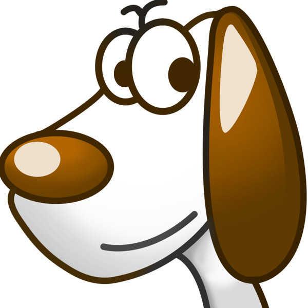 上百张经典腾讯qq头像有你的青春记忆吗