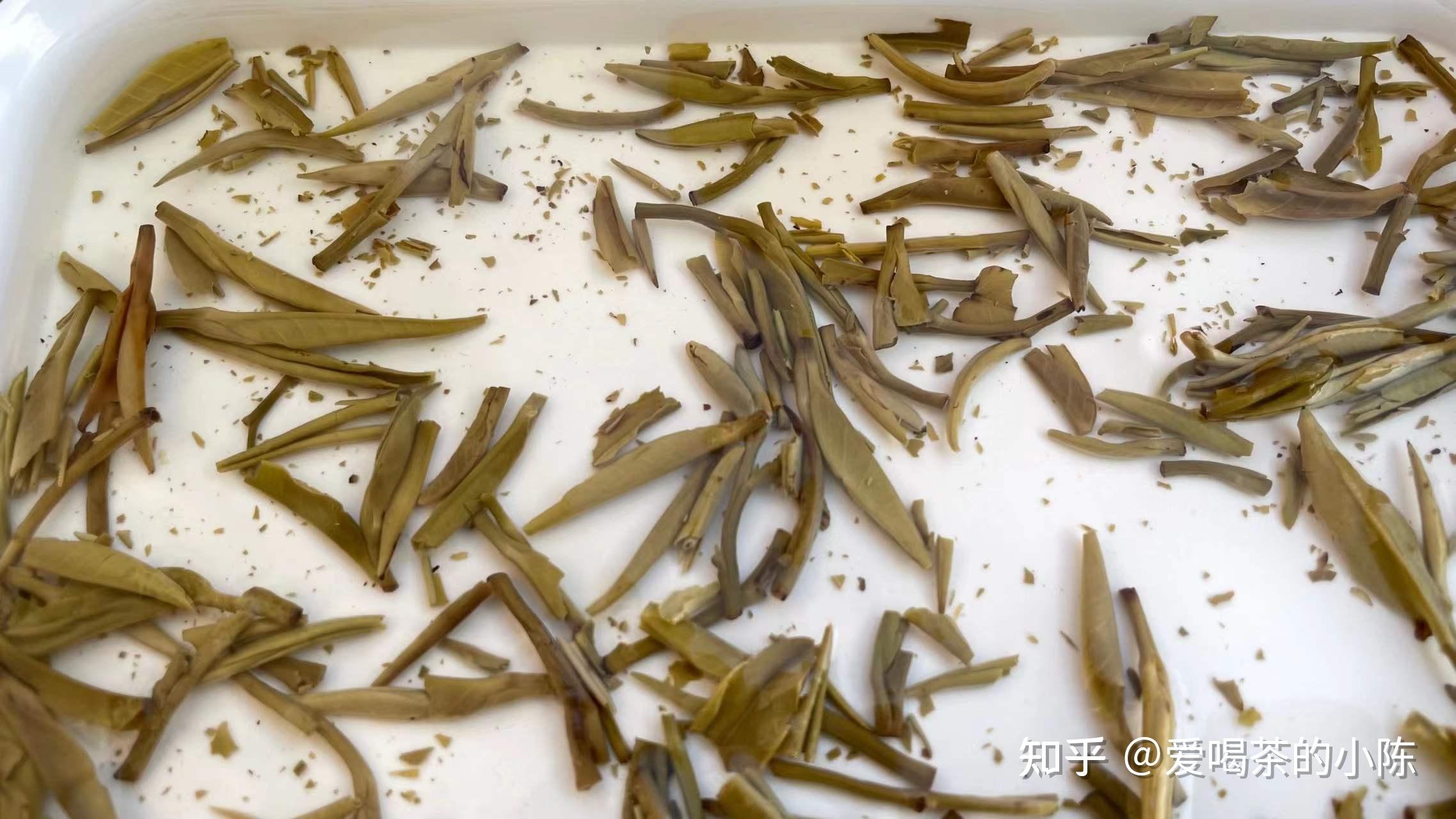 碧雪春茶叶是什么茶