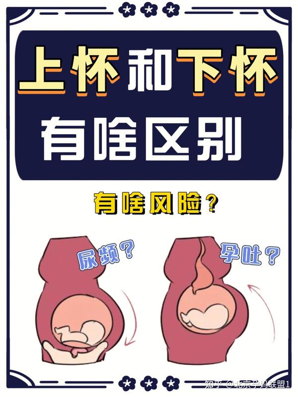 孕期上怀和下怀,要注意哪些? - 知乎