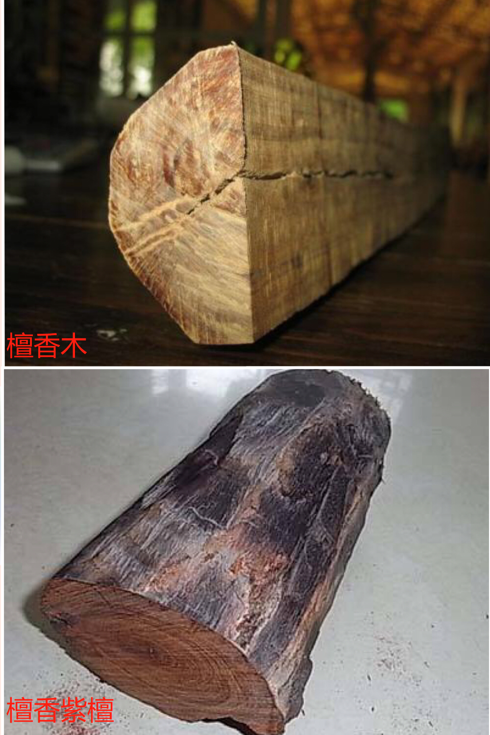 如何区分檀香木和檀香紫檀 知乎 如何区分檀香木和檀香紫檀 知乎