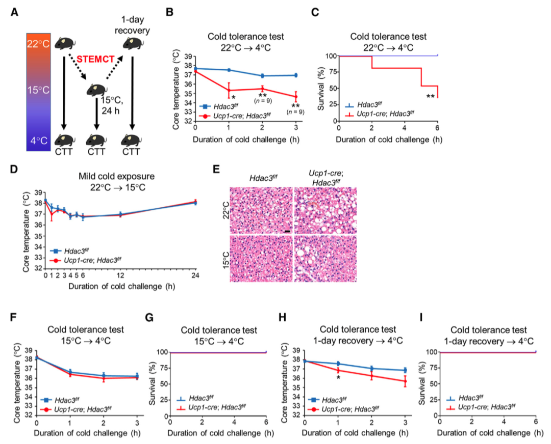 Cell Metabolism丨轻度寒冷预处理通过表观遗传学变化延长极寒小鼠存活 - 知乎