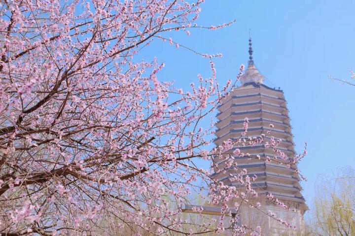 沈阳市浑南区春天打卡地推荐,七个地点你最喜欢哪一个呢? - 知乎