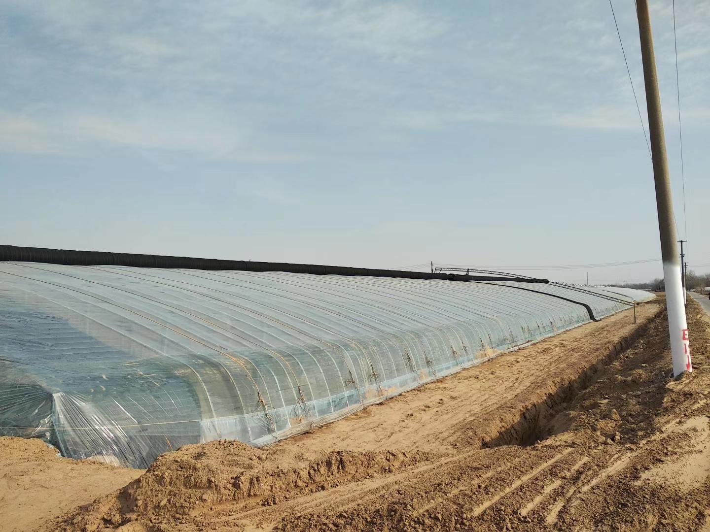 大棚放风工作做得好不好关键在这里