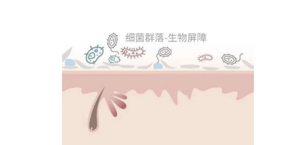 到底什么是“皮肤屏障受损”？很多人理解错了，难怪皮肤越来越差！ - 知乎