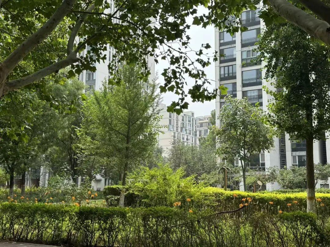 北京朝阳买房,到底选朝青还是常营? - 知乎