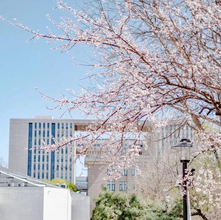 北京林业大学丨农村发展专硕丨考研经验贴 - 知乎