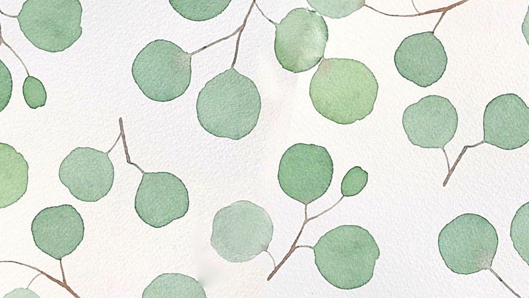 更新最近使用的绿色系壁纸 太爱绿色了!!(绿色壁纸ins风纯色系)