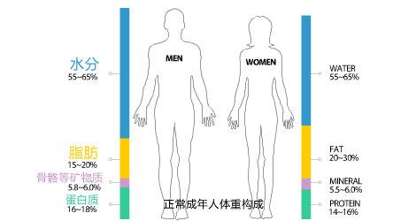 怎样才能减体重 v2-eeb5914fc69c1faf9403ad7a98e77380_r.jpg