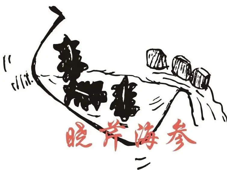 晓芹教您发海参——半干海参