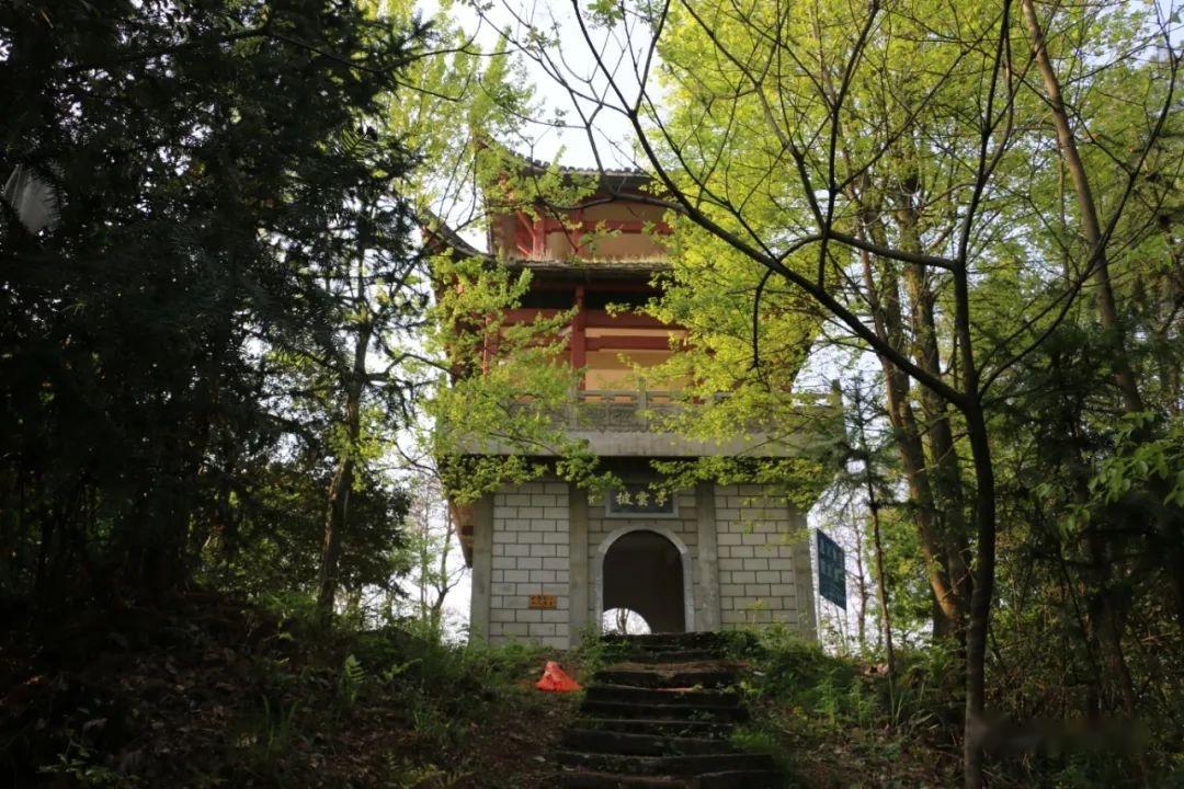 歙县西干山名人墓:柯庆施墓 - 知乎