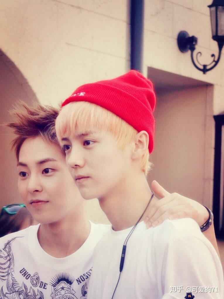 鹿晗当时为什么离开exo?