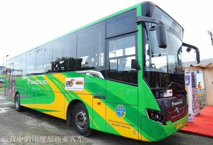 2023-2032年印度尼西亚客车行业研究报告（到2032年，印尼运营中的巴士数量将达到39.6万台） - 知乎