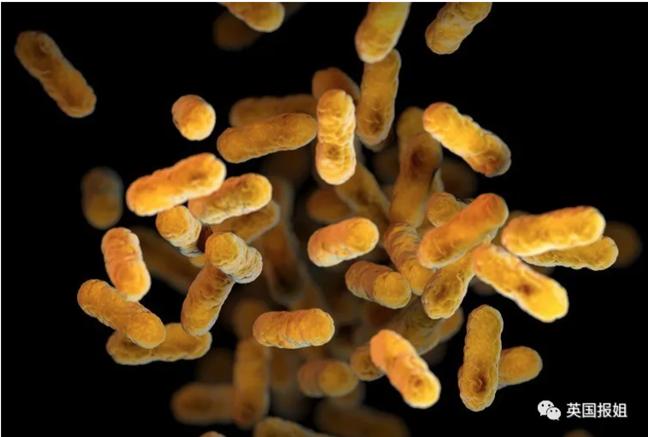 1955年,中情局在佛罗里达释放百日咳细菌,导致附近地区暴发疫情,造成