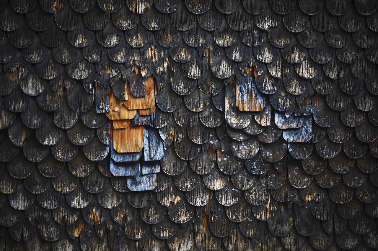 木材如何防虫蛀