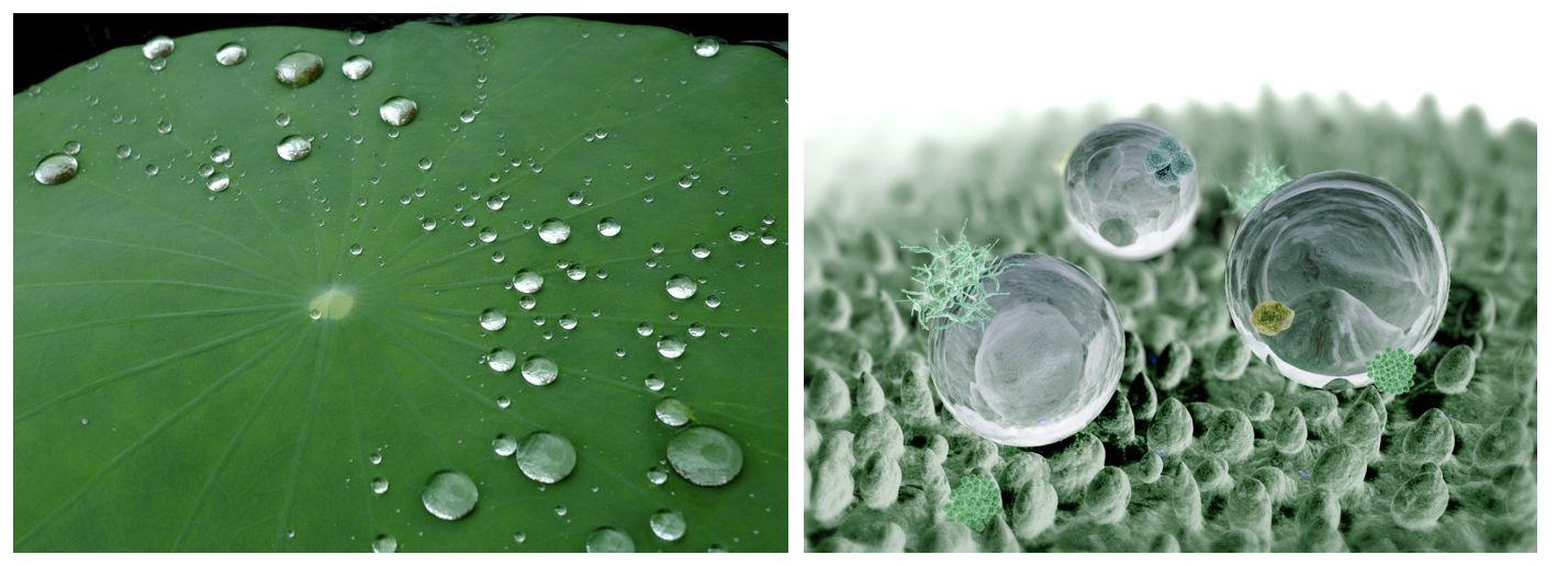 如何解释浸润特性? - 知乎