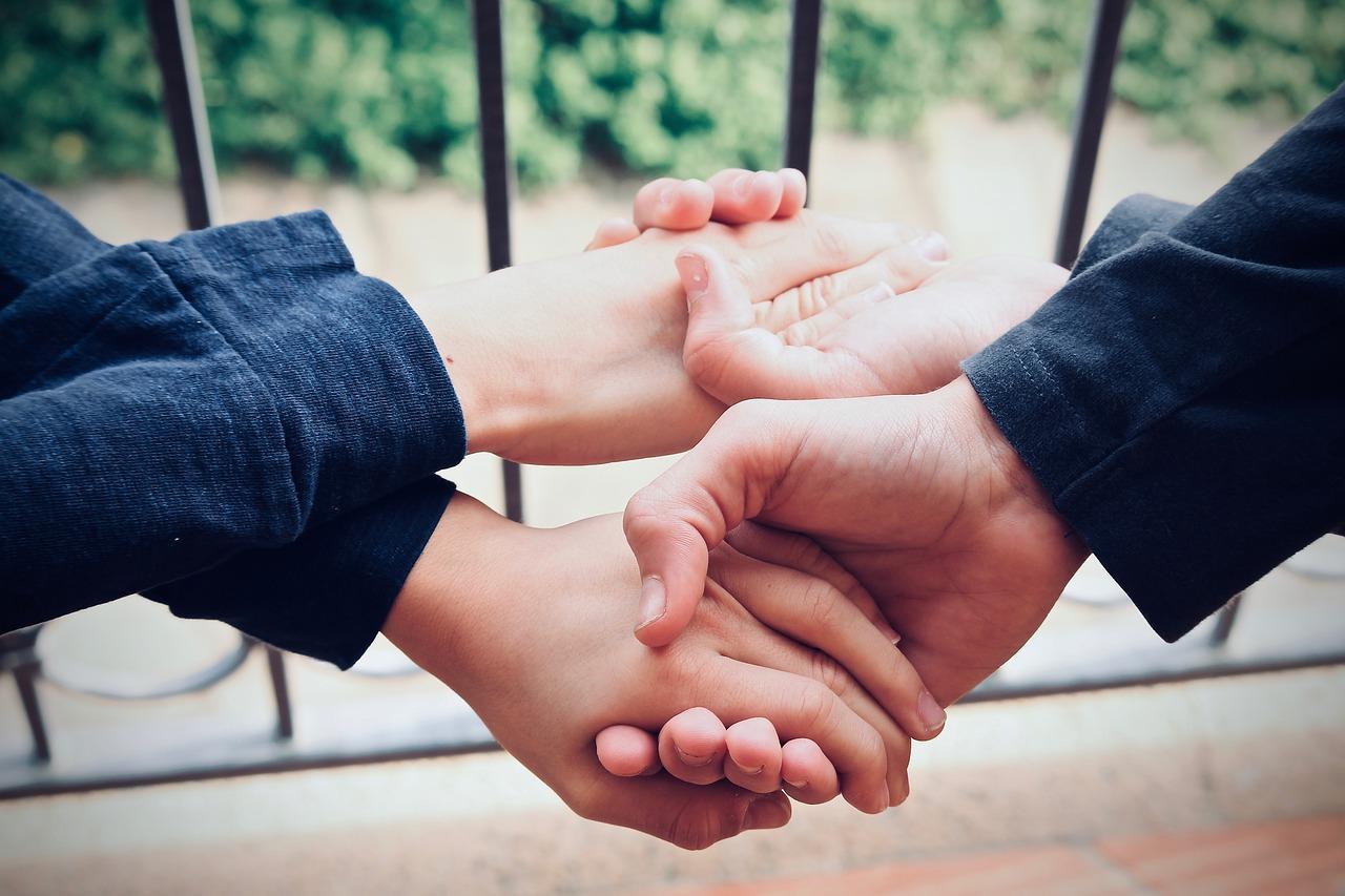 狗狗友谊的起点